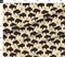 Bison Endangered Species Western Ranch Custom Printed Fabric by Spoonflower Various Fabrics by the Yard or Fat Quarter